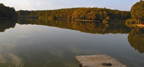 Bukovniško lake